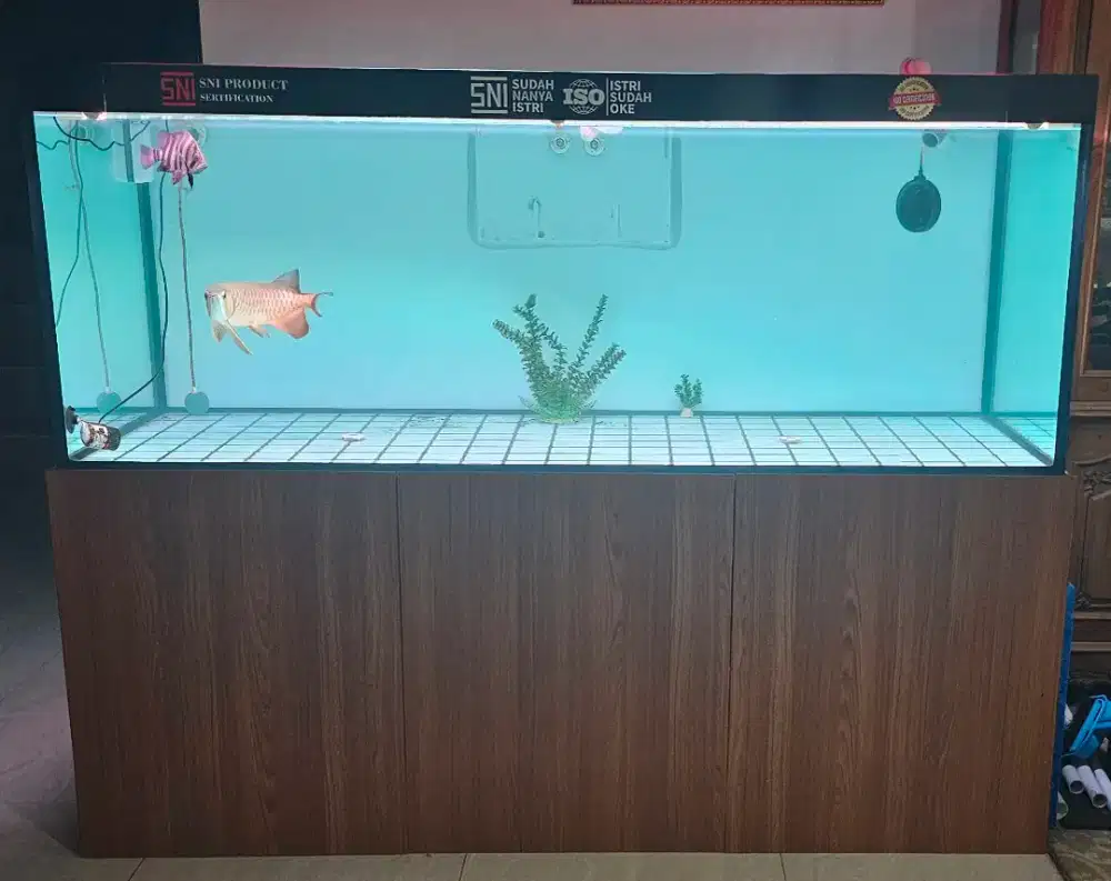 Aquarium 180x70x70