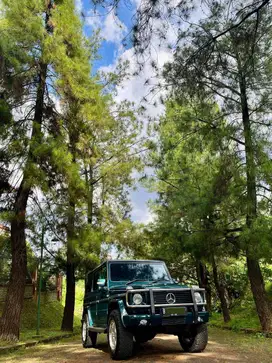 Bullbar Original Mercedes-Benz G-Class W463
