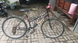 Federal pussy cat sx siap gowes