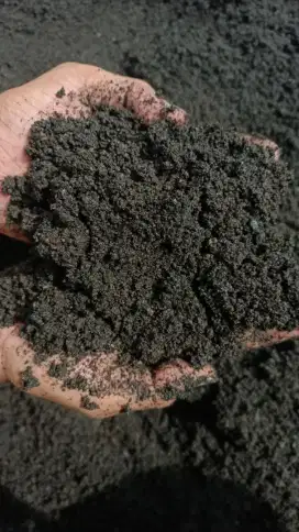 Jual Pasir Lumajang Paliran Kualitas Terjamin Harga Terjangkau! Malang