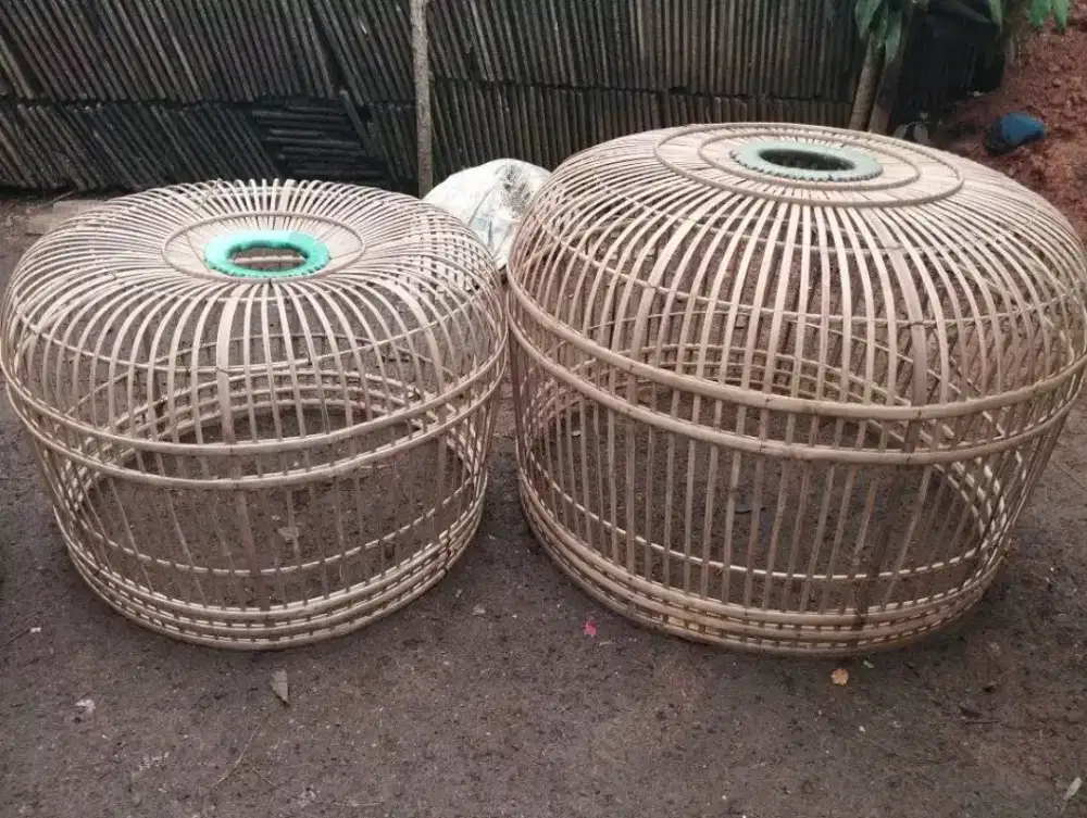 Kurungan ayam bangkokk