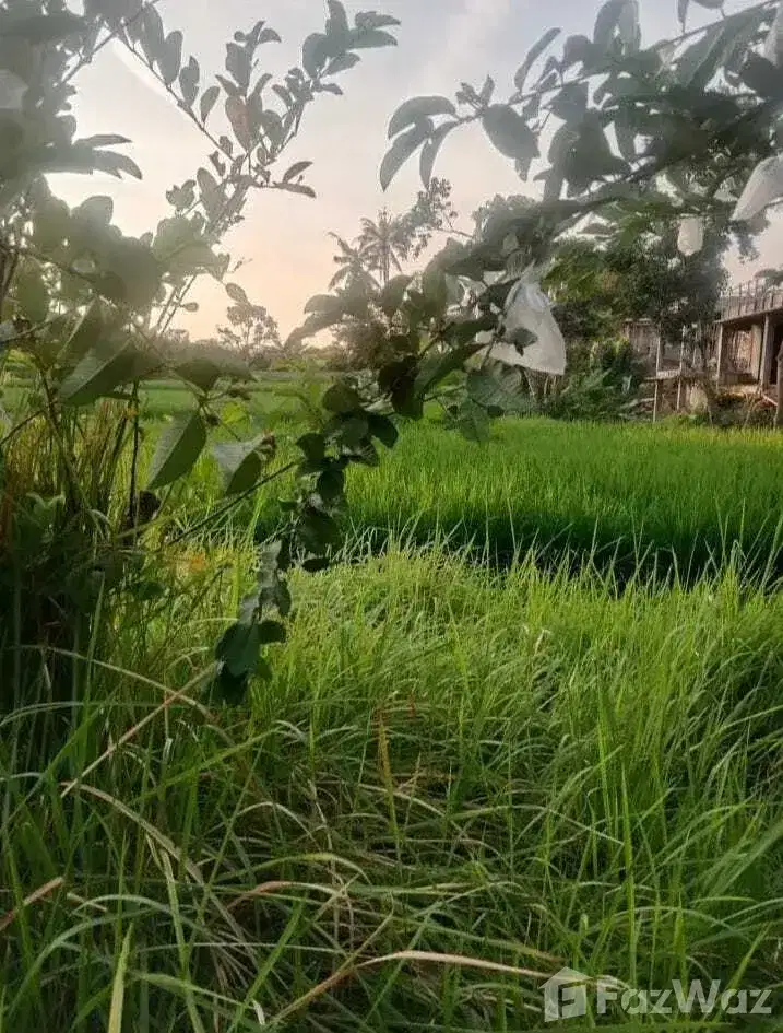 Land for sale in Ubud, Bali