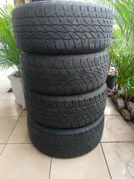 Ban Accelera Omikron R20 285/50