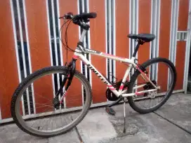 Mtb United monza