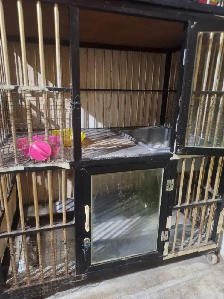 Kandang kucing 2 kamar