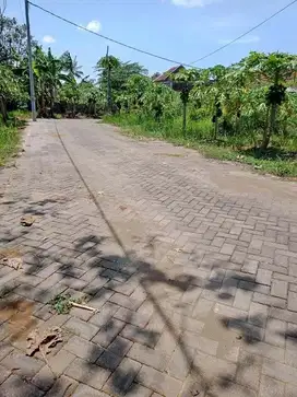 Promo Tanah Kavling Murah Tambakasri Tajinan Malang free SHM an pembeli
