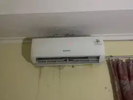 Ac sharp 1/2 pk second