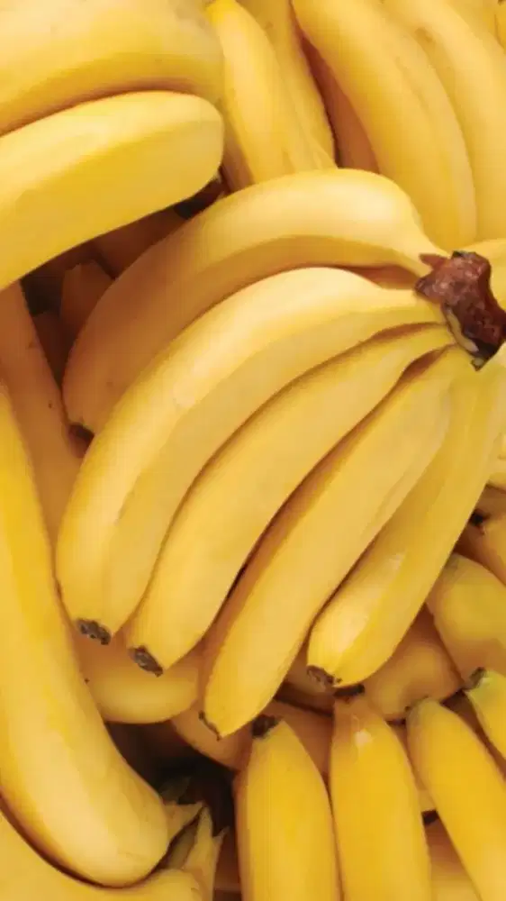 Pisang sunpride sisir