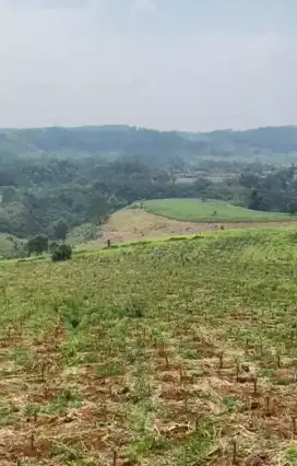 LAHAN 84 HEKTAR SIAP PAKAI, CIKEMBAR, KABUPATEN SUKABUMI, JAWA BARAT