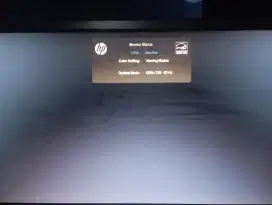 MONITOR Hp 19 INCH