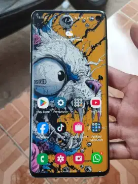 Samsung S10 8/128 Ex Sein
