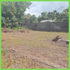 Dijual Tanah Jogja Pekarangan 1 Km an Kampus UII Jogja Cocok Kost