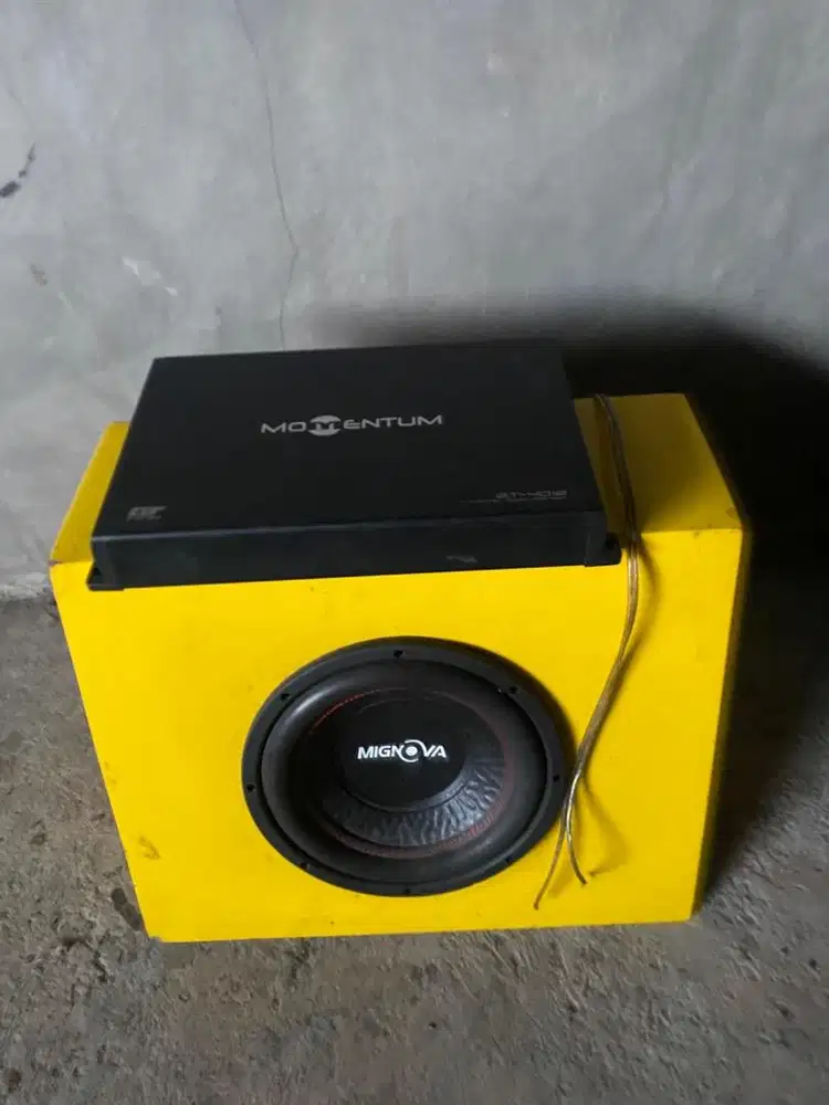 Subwoofer Momentum
