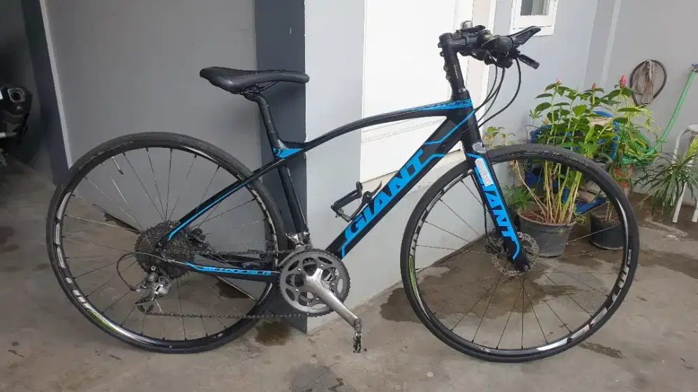 Sepeda Giant Road Bike Flat Bar