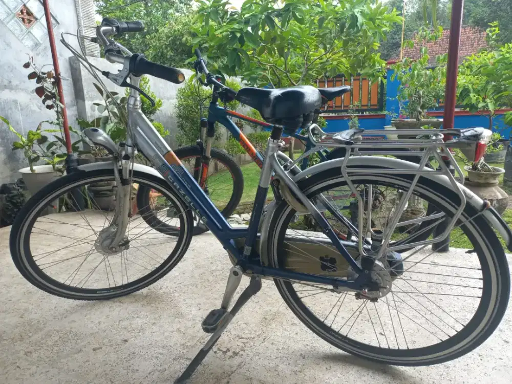 Gazelle orange limited edition
