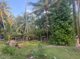 Dijual tanah komersil samping Villa