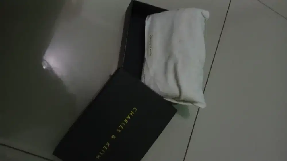 Clutch by Charles & Keith