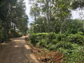 Di Jual Tanah Kebun Produktif,Cocok Untuk Villa