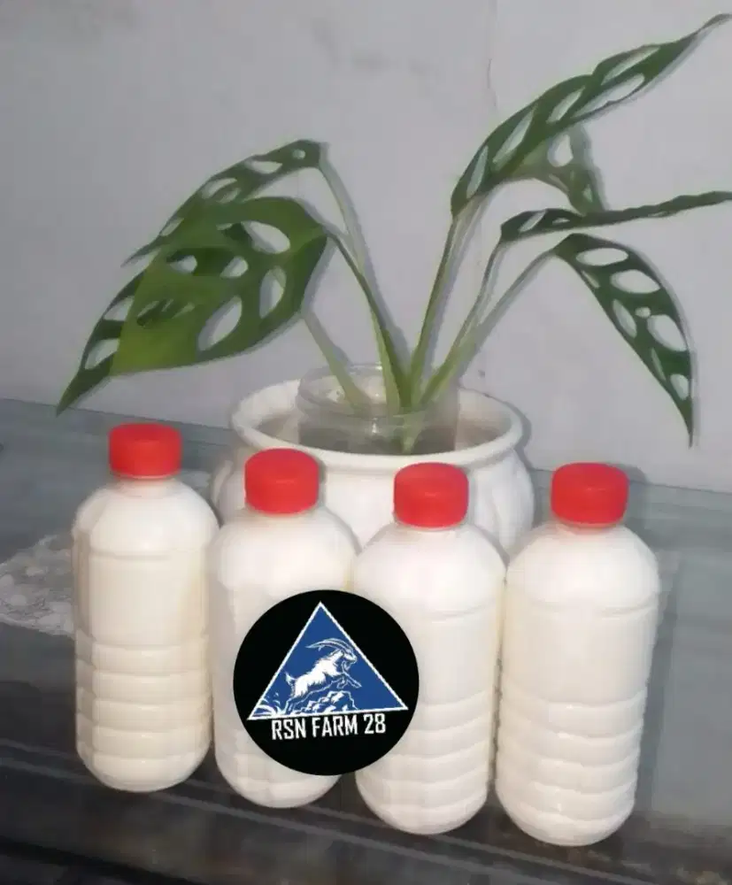 Susu etawa asli & fres