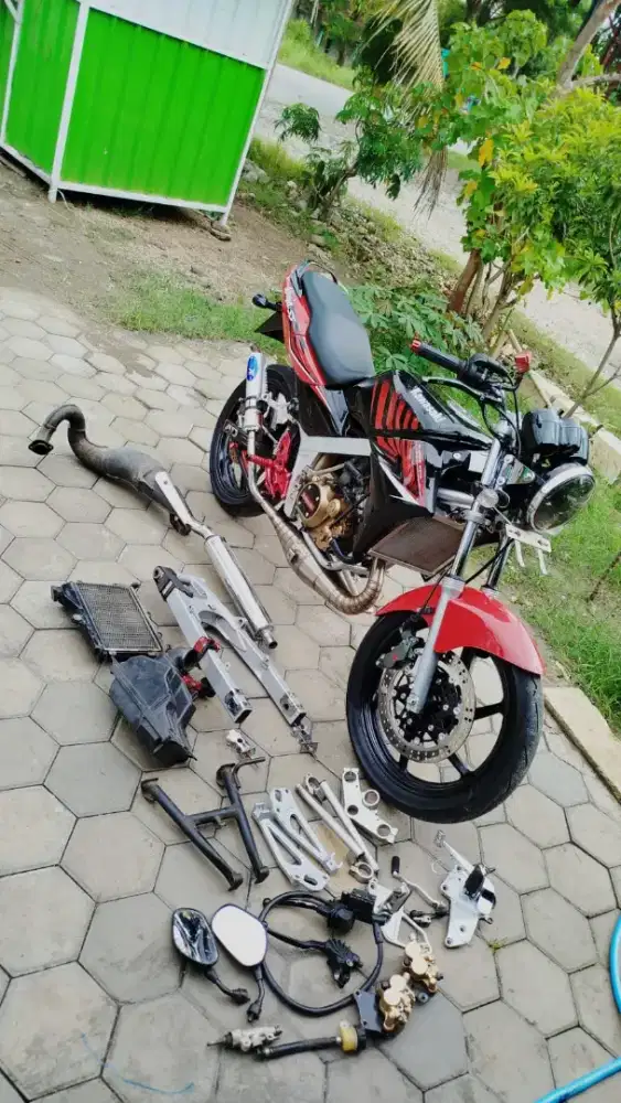 Ninja ss /ninja ss zebra 2014