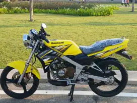 kawasaki ninnja SS