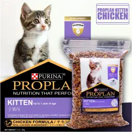 Cat Food Pro Plan Kitten