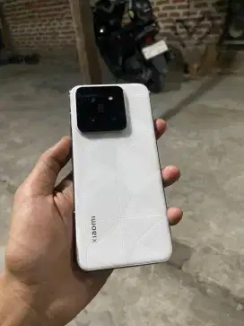 Xiaomi 14 flagship 12/256