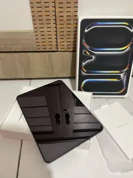 iPad pro M4 11inch 256 wifi only