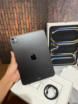 ipad Pro M4 256 Like New Lengkap