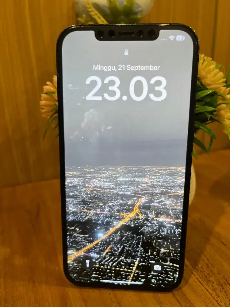 Iphone 12 Pro Max 128gb Ex Garansi Resmi