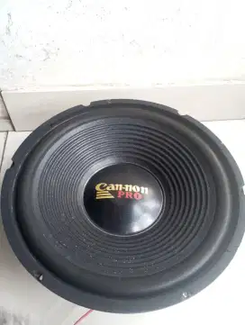 SPEAKER 12 INCH CAN-NON PRO