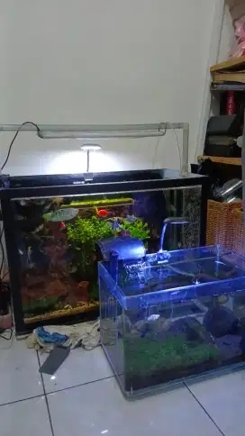 Dijual 2 aquarium include ikan, lampu, filter, semuanya.