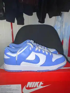 Nike Dunk Low Retro Blue