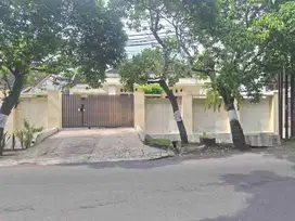 ( JALAN RAYA ) RUMAH / KANTOR DI JL HALMAHERA RAYA SEMARANG