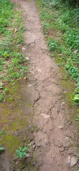 Dijual tanah pekarangan di Kokap