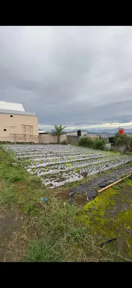 Tanah Kavling di Lembang View Kota Bandung