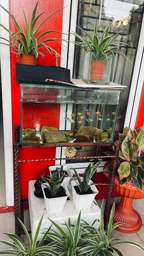 SATU SET AKUARIUM + STAND CANTIK