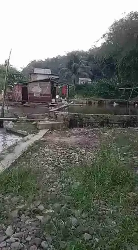 jual tanah murah LT 2ha, ajb, akses masuk mbl