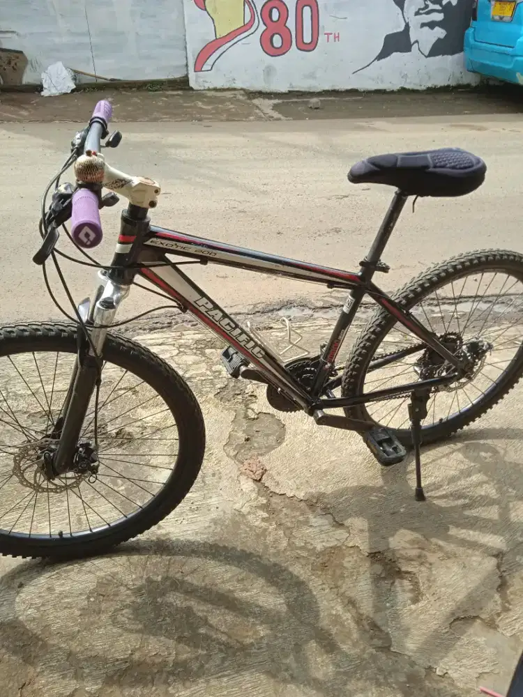 Sepedah mtb Pasific exotic 200 Shimano equipped  rem cakram