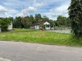 Dijual Tanah Sawah Jalan Berbah-Kalasan 900Rb-an Mangku Aspal