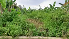 Dijual Tanah Di Pedurungan Lor