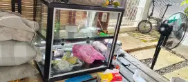 Etalase kaca roti / lainnya