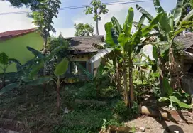 Di Jual Cepat ( segera )
