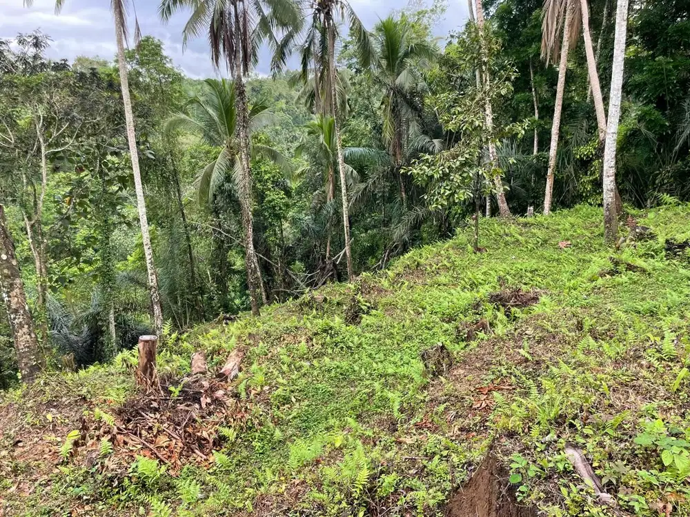 River view land for sale