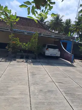 Rumah Luas di Tawangsari Kulonprogo Dekat RSUD Wates