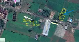 Tanah dekat pabrik semen Tuban