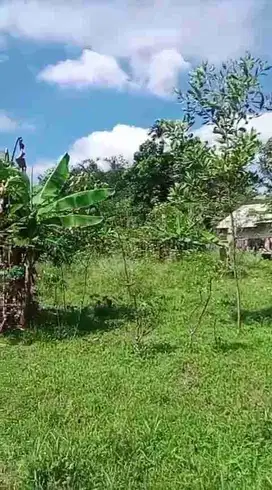 jual tanah murah LT 9000m², shm,  akses jalan kabupaten