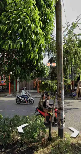 Tanah 0 Jalan Raya Wiyung