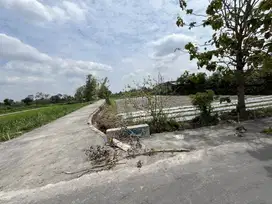 Kaliurang Asri - Tanah Murah Siap Bangun Jogja Dekat UII Jogjakarta