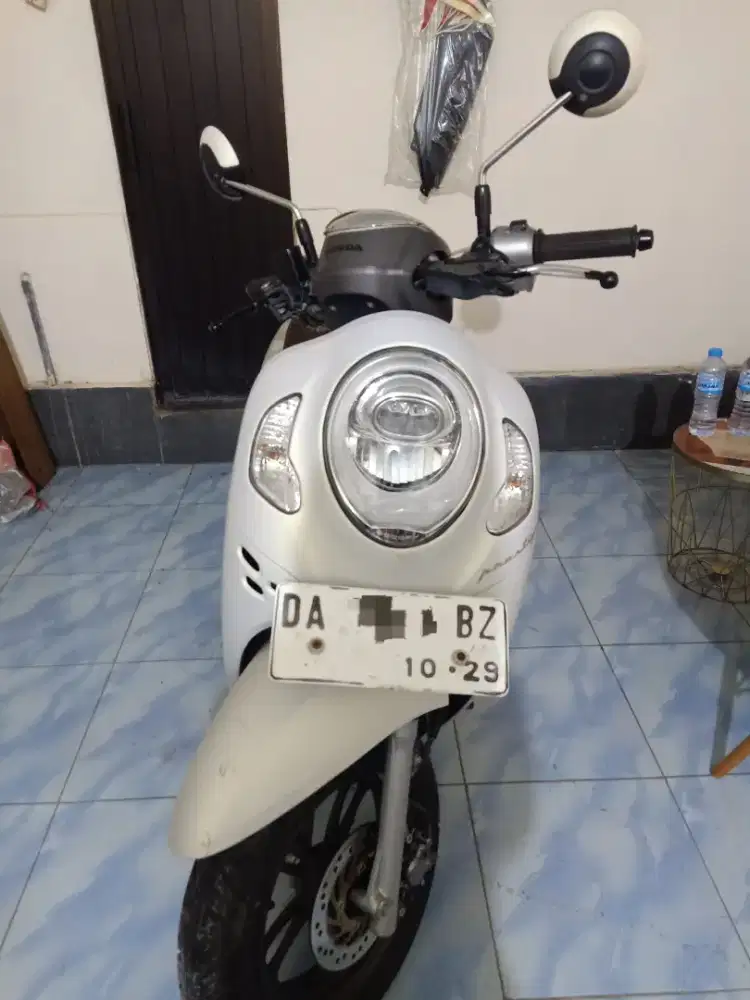 Scoopy cream 2024
